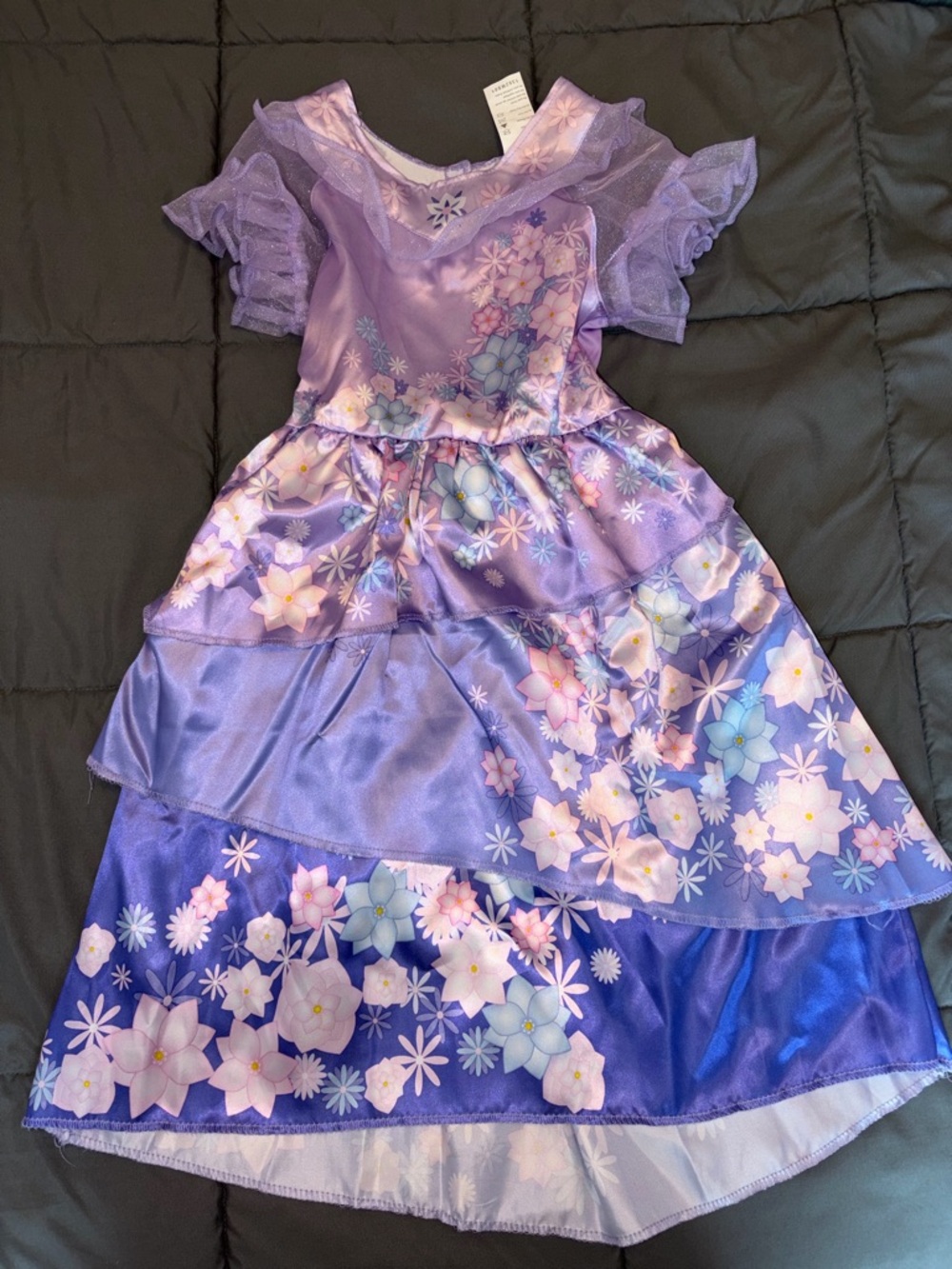 Two Disney Princess Mirabel Madrigal Encanto Costume Dresses 4-6X - Picture 6 of 8